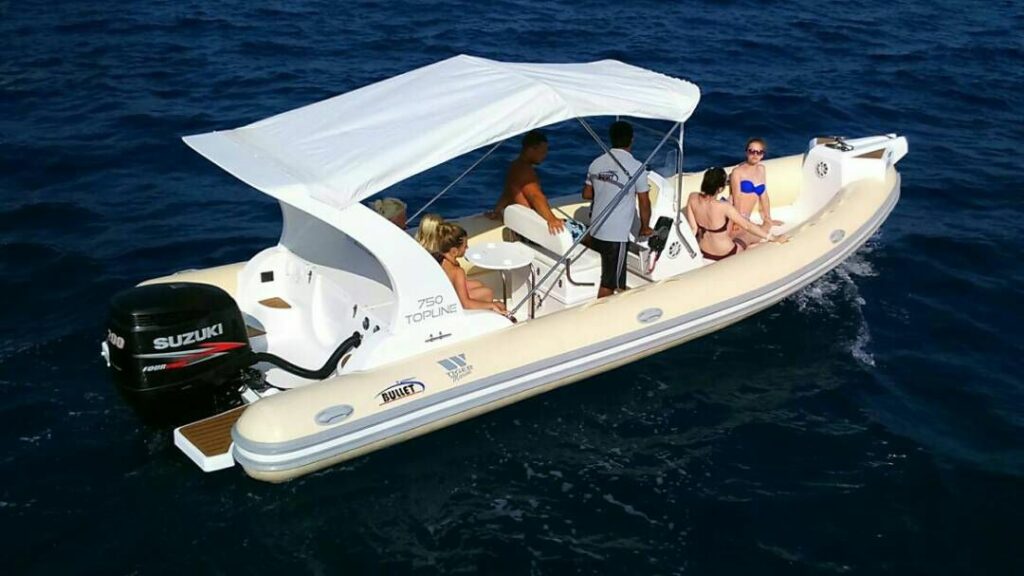 Private Speedboat to Dolphin House Sea Trip