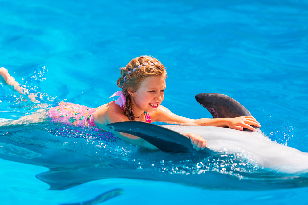 Dolphin World Photos disover Hurghada