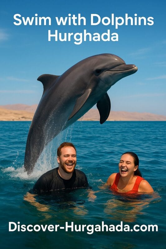 wim with Dolphins Hurghada – Dolphin Show and Family Fun in Egyp