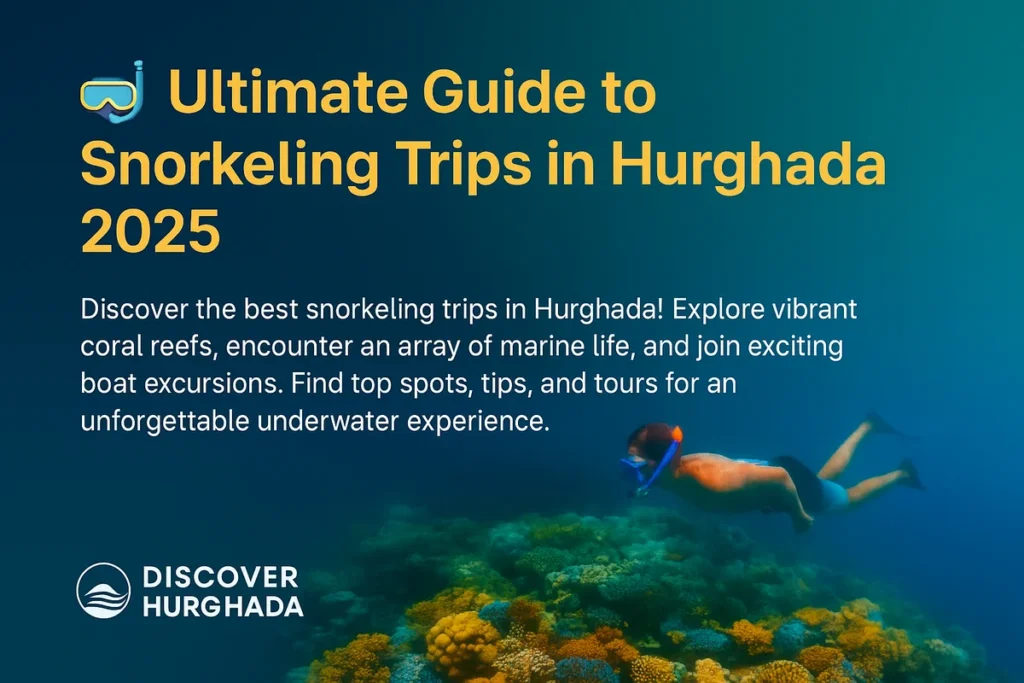 norkeling Trips in Hurghada – Discover Hurghada