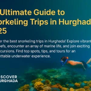 norkeling Trips in Hurghada – Discover Hurghada