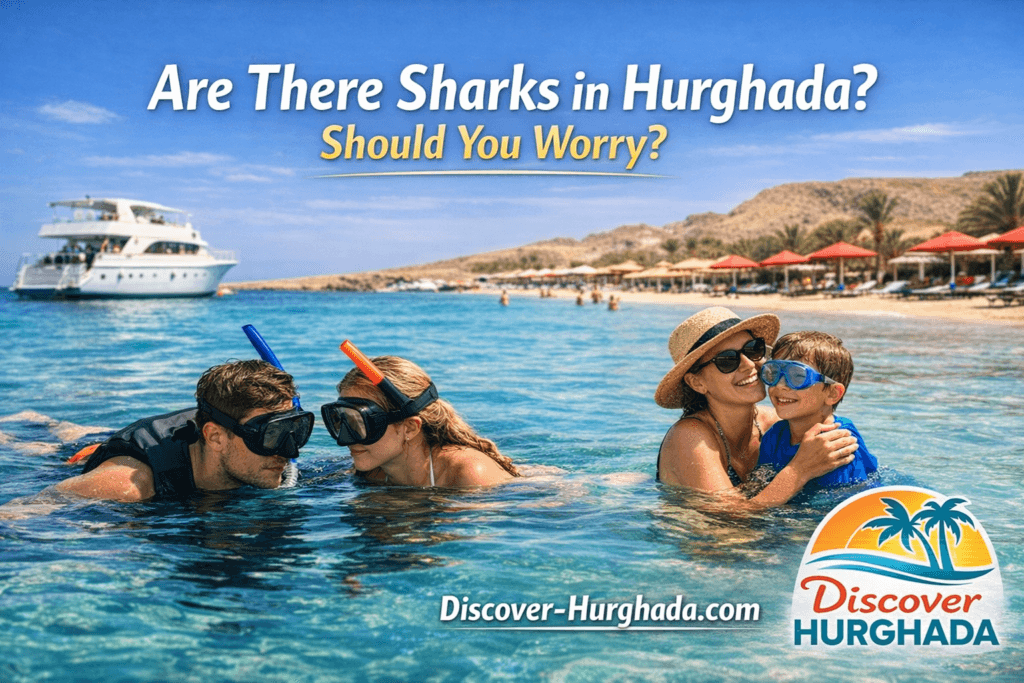 Are there sharks in Hurghada? Tourists swimming safely in the Red Sea in Hurghada with Discover Hurghada
