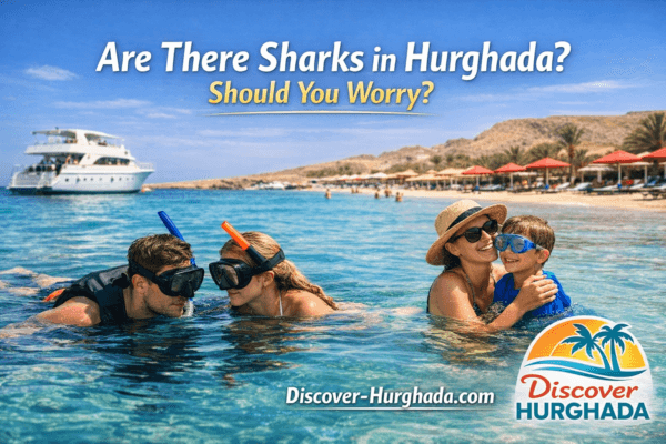 Are there sharks in Hurghada? Tourists swimming safely in the Red Sea in Hurghada with Discover Hurghada