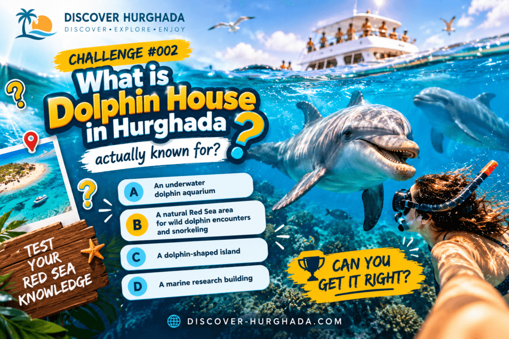 What Is Dolphin House in Hurghada? Red Sea Quiz Challenge